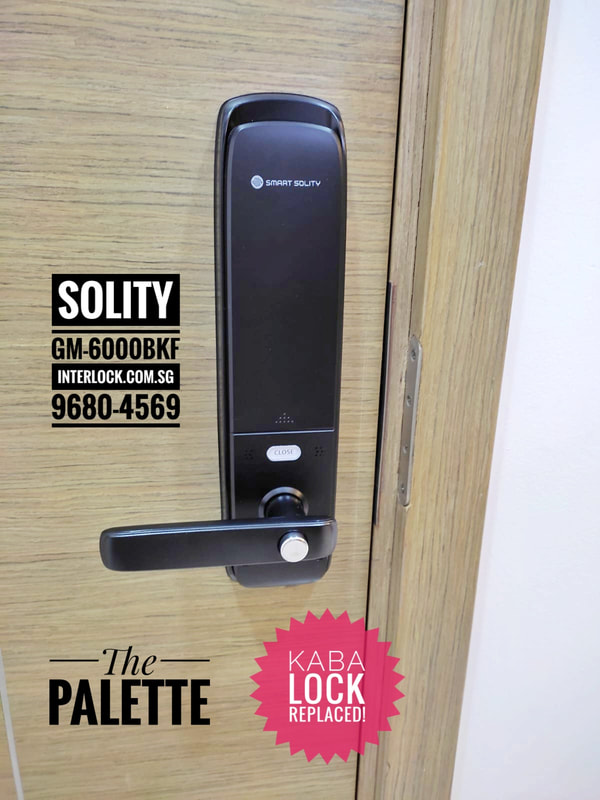 Solity GM-6000 smart lock at The Palette condo replace not repair Kaba EF680 Interlock Singapore - rear view