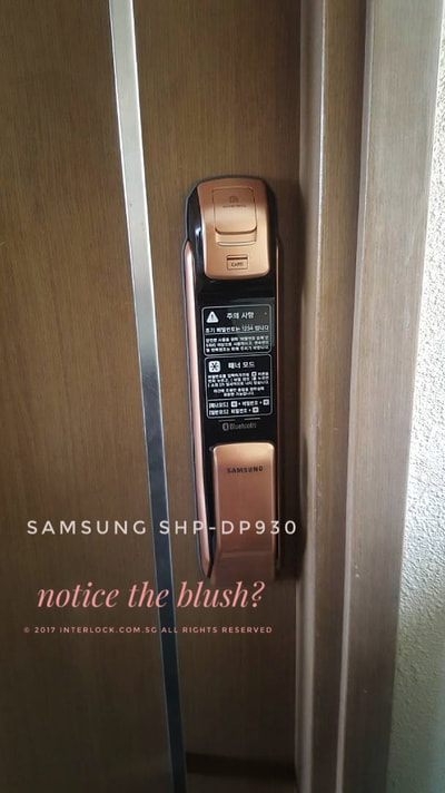 Samsung P930 ( SHP-DP930) Push and Pull Handle Lock