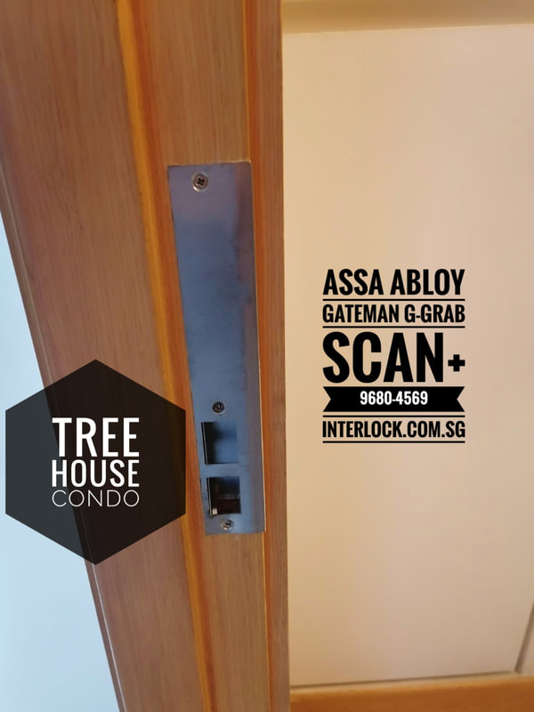 Kaba EF680 Repair Replaced by Assa Abloy  Gateman Grab-scan at The Treehouse condo in Singapore Strike plate View