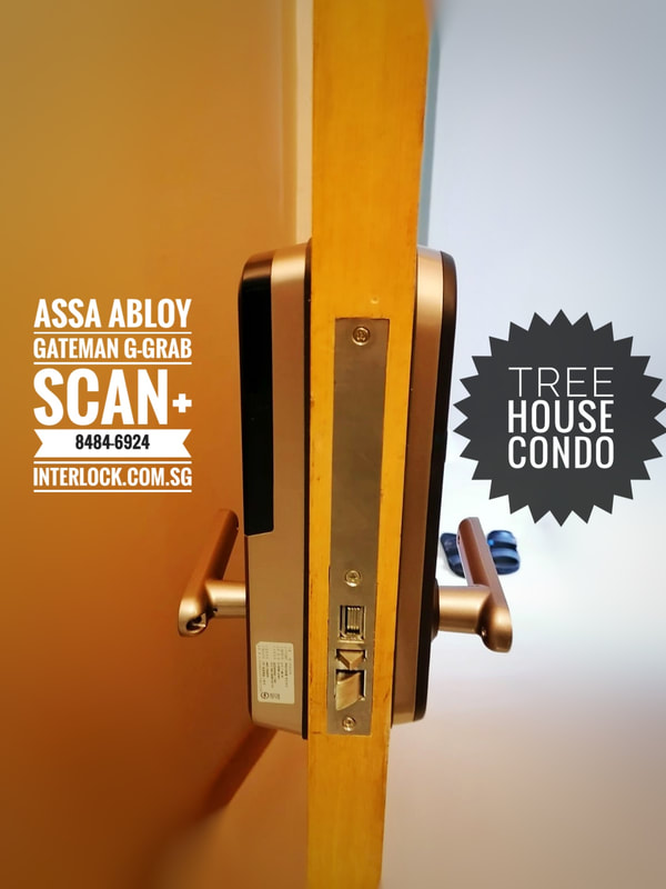 Kaba EF680 Repair Replaced by Assa Abloy  Gateman Grab-scan at The Treehouse condo in Singapore Side View