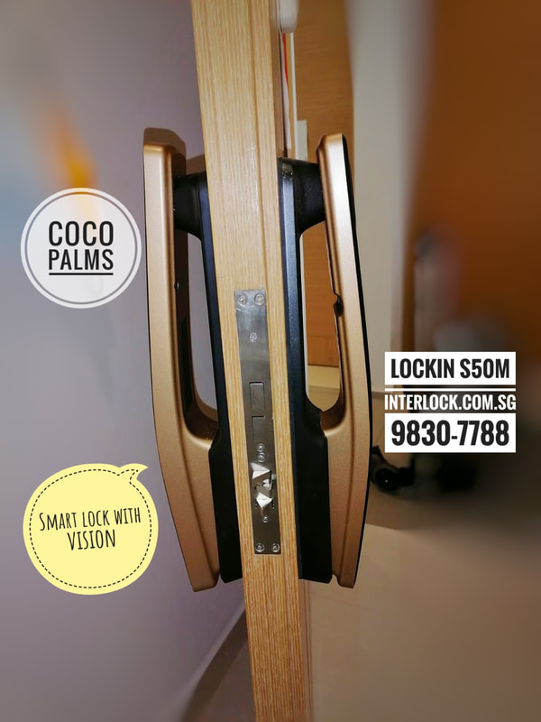 
Lockin Singapore S50M Smart Lock Pro S50 S50F SV40 Coco Palms 4
