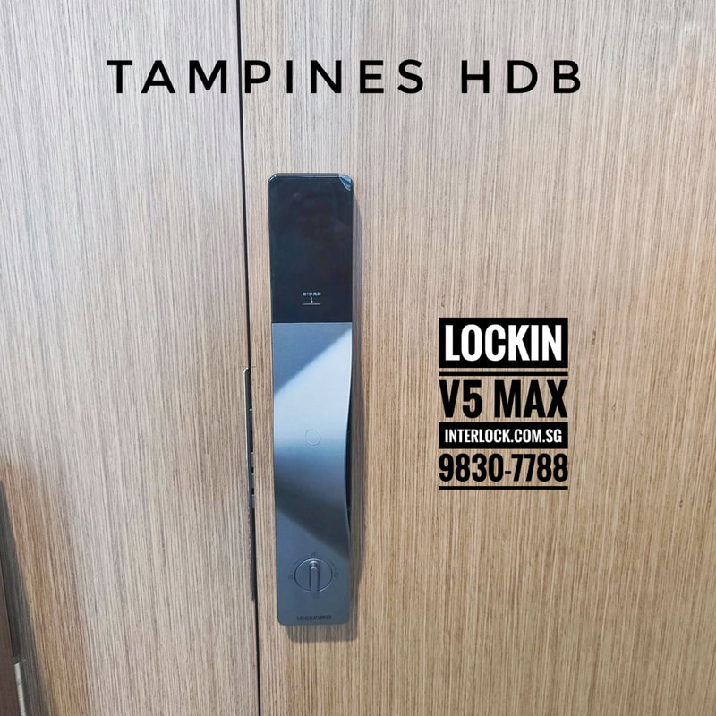 Lockin V5 Max Palm Vein Recognition at Tampines HDB rear view from Interlock Singapore