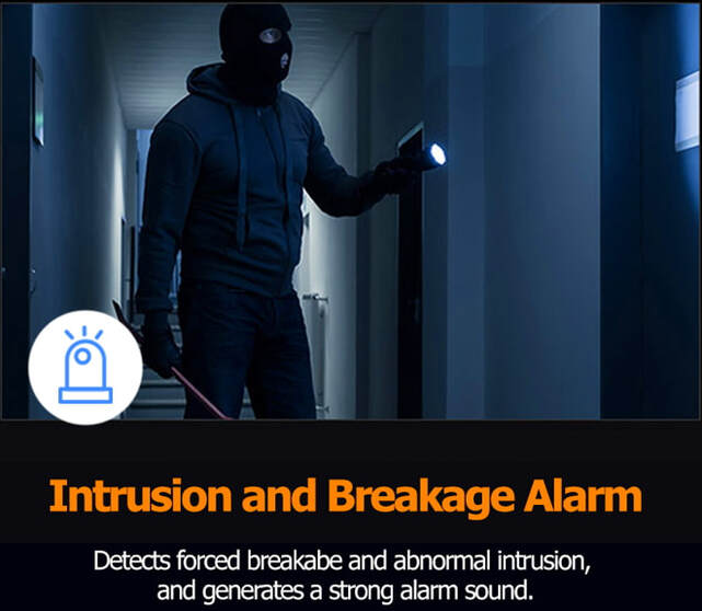Solity Smart Lock GSP-2000BKF Intrusion Alert and Alarm