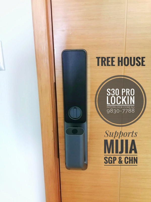Singapore Smart Lock Lockin S30 Pro Supports Xiaomi Mijia Smart Lock at Tree House Condo