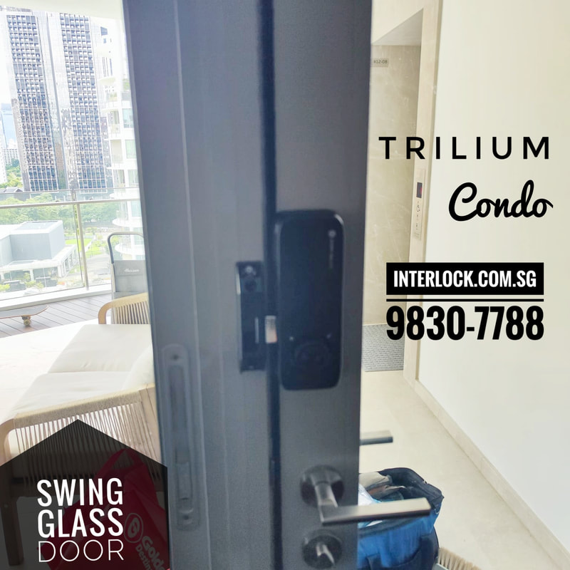 Solity GA-65B on aluminium glass casement swing door at Trilium condo Interlock Singapore